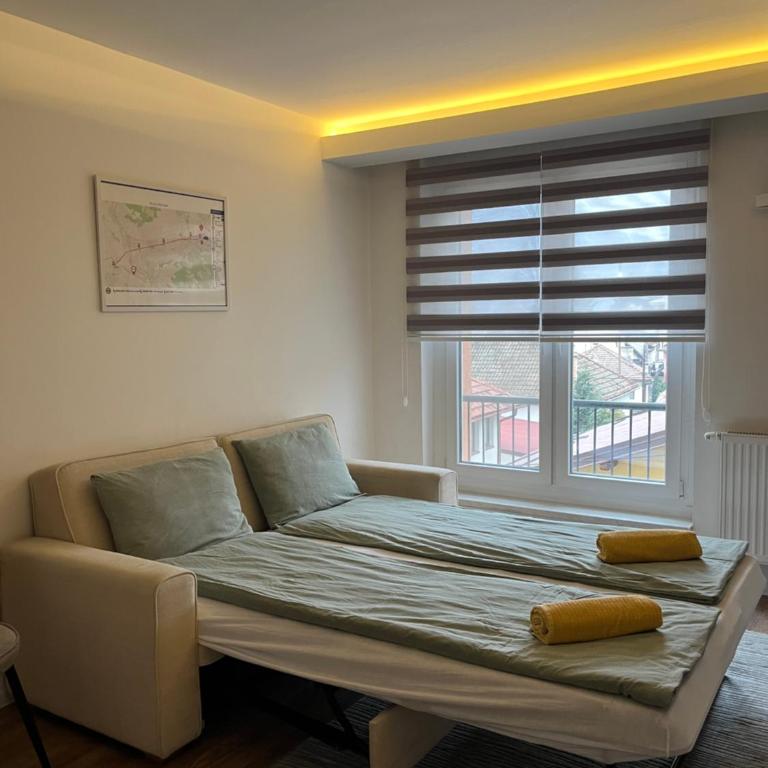 Baščaršija Spot - Private Garage - Apartman sa 1 Spavaćom Sobom - 4