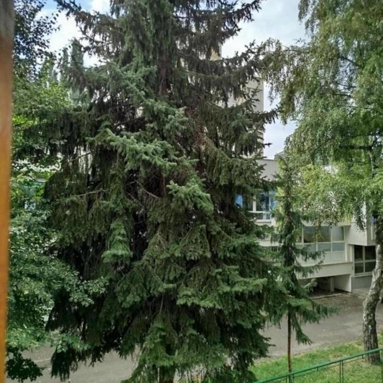 Odmor u Sarajevu na Grbavici - Two-Bedroom Apartment - 12