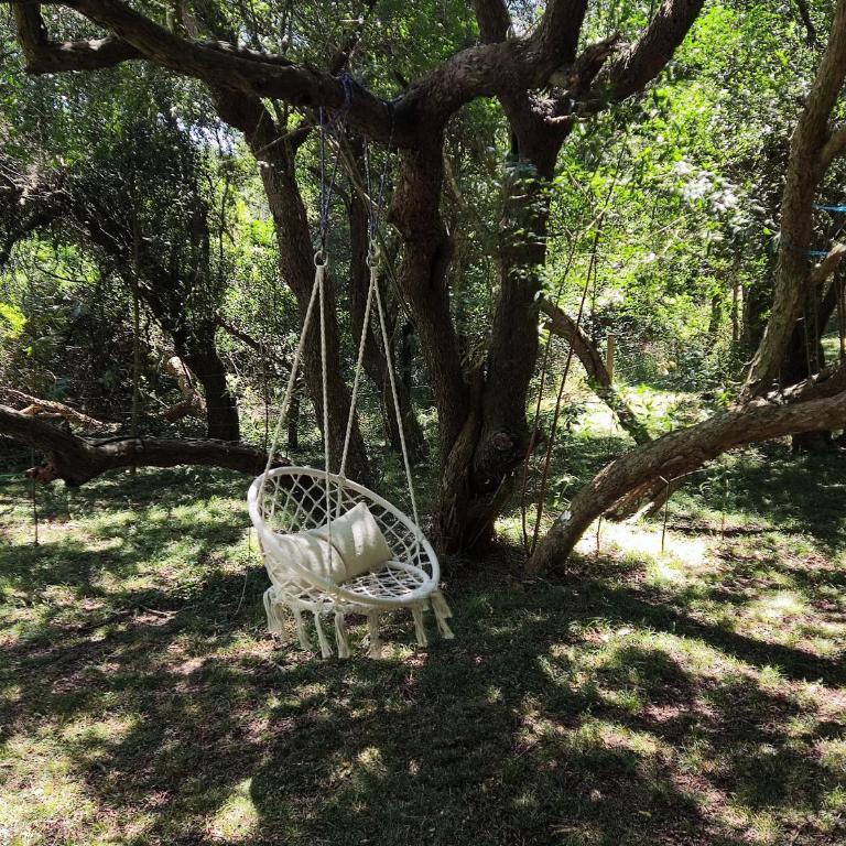 Cabaña El Trisquel - Chalet - 2