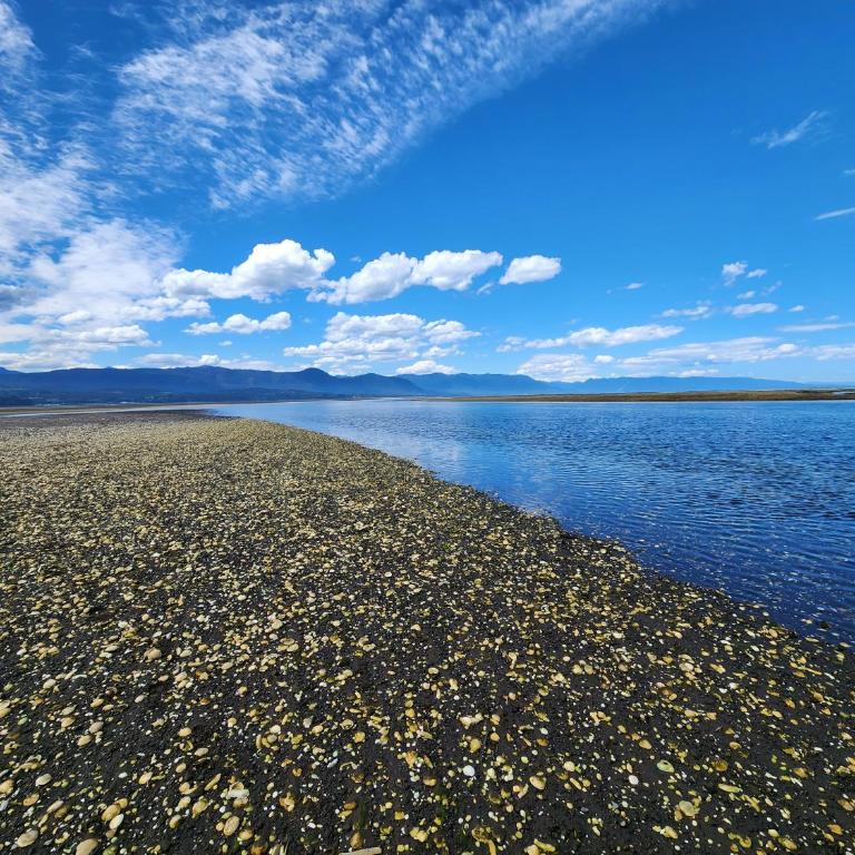 Casa Playa Carretera Austral - Three-Bedroom House - 35