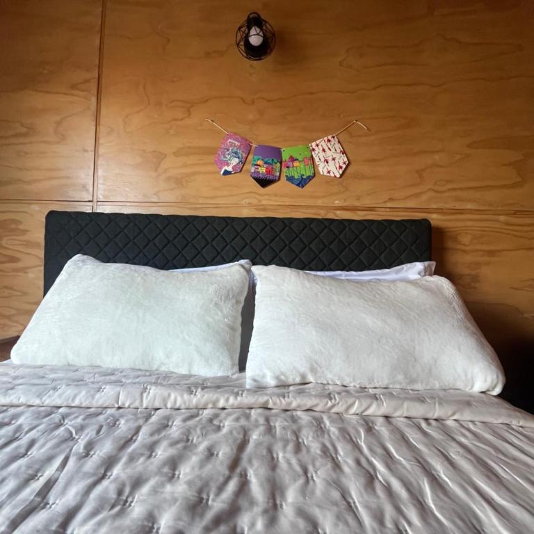 Departamentos NuBe1 Castro Chiloé - Apartamento de 2 dormitorios - 50