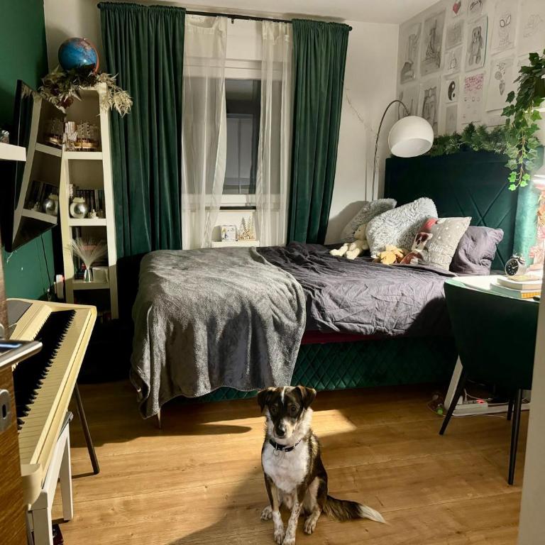 Luxe Residence Home Sweet Home City Center - Apartman sa 2 Spavaće Sobe - 3