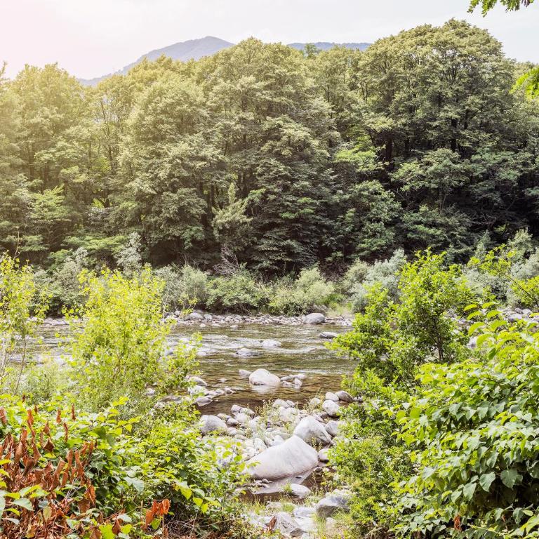 Idyllic Nature Retreat by Maggia River - Casa con 1 Camera da Letto - 8