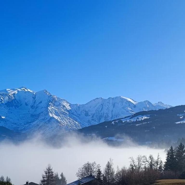 Demichalet - Chalet - 17