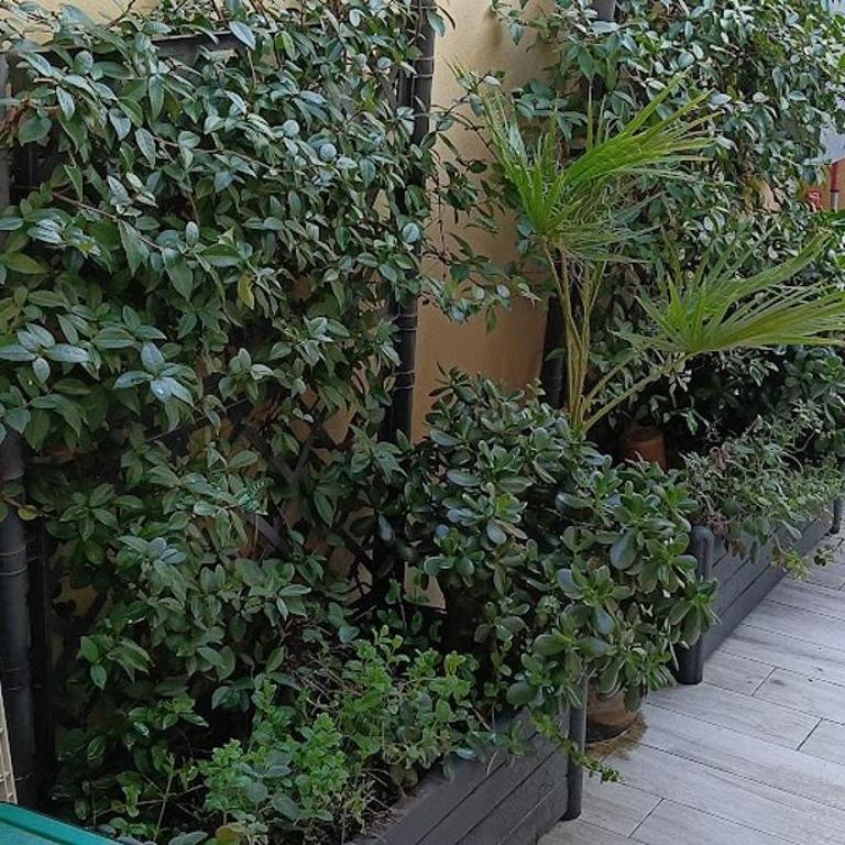 La Terrazza della Nonna - One-Bedroom Apartment - 40