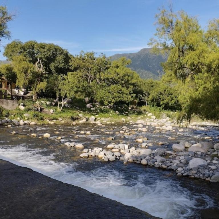 Casa de campo Pajarito - Two-Bedroom House - 12