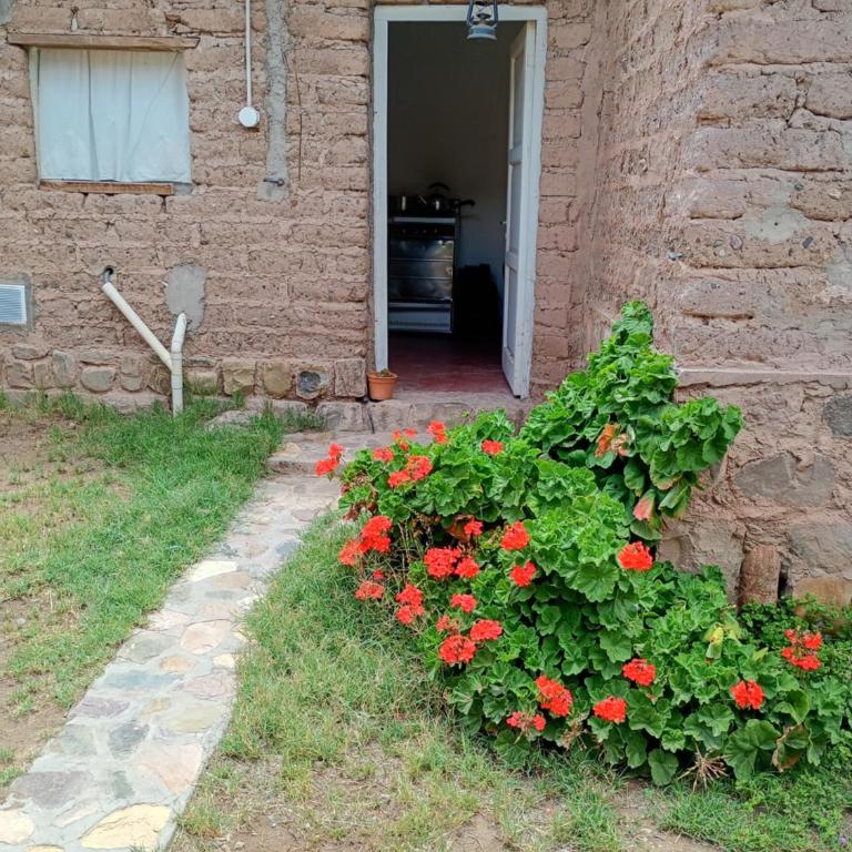 Hospedaje EL Abra - Two-Bedroom House - 13