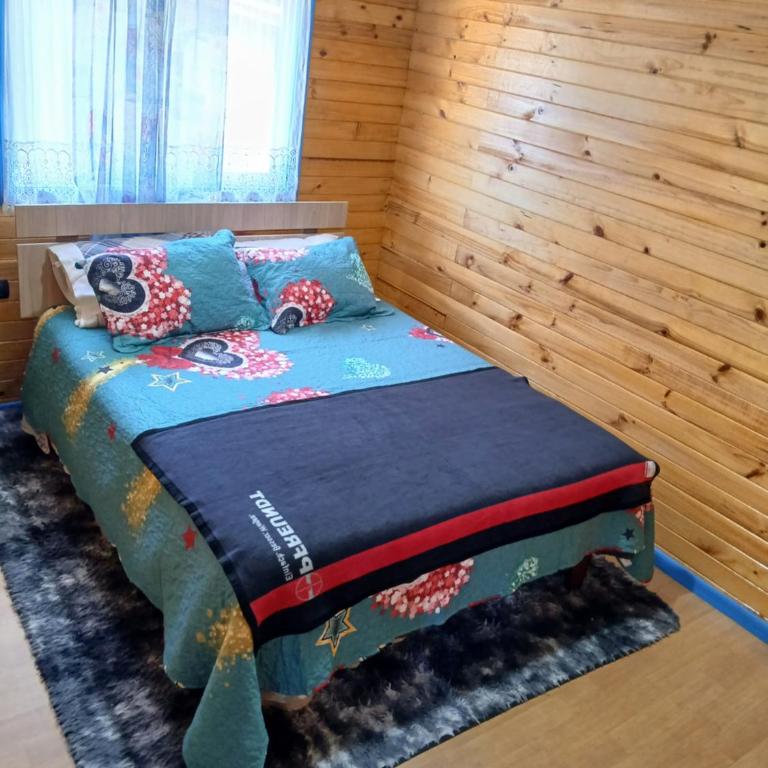Cabaña de campo, Puacura - Castro - Two-Bedroom House - 8