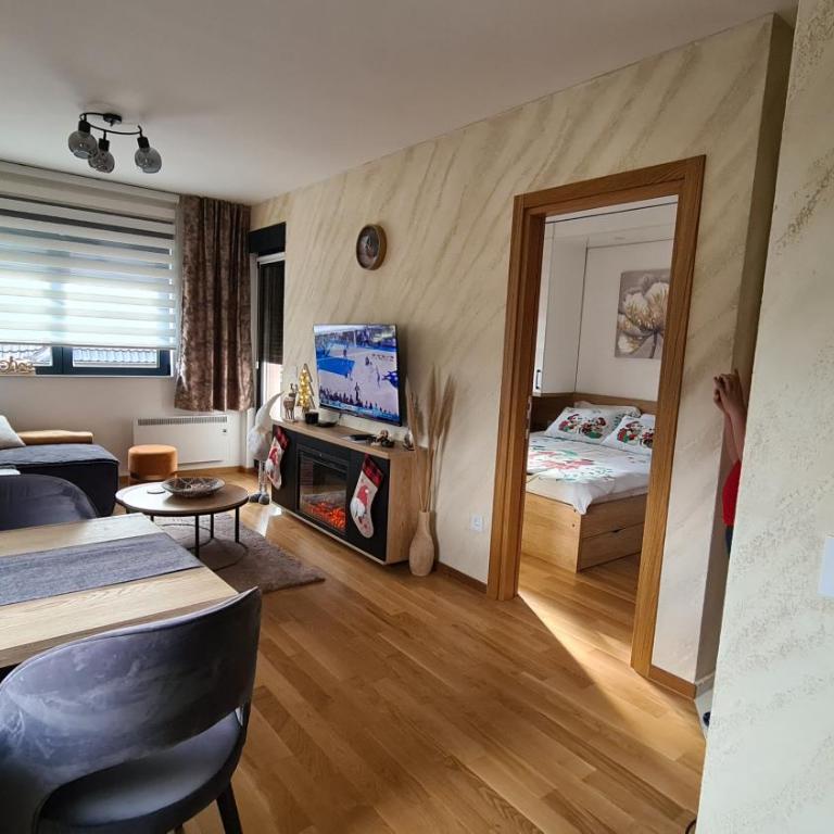 Holiday Residence Zlatibor free garage - One-Bedroom Apartment - 33