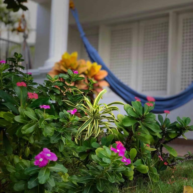 Villa frente el mar cartagena de indias - Villa - 6