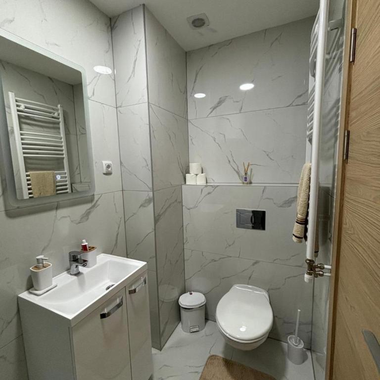 Mali Golubac Star Divcibare - Apartman sa 1 Spavaćom Sobom - 11