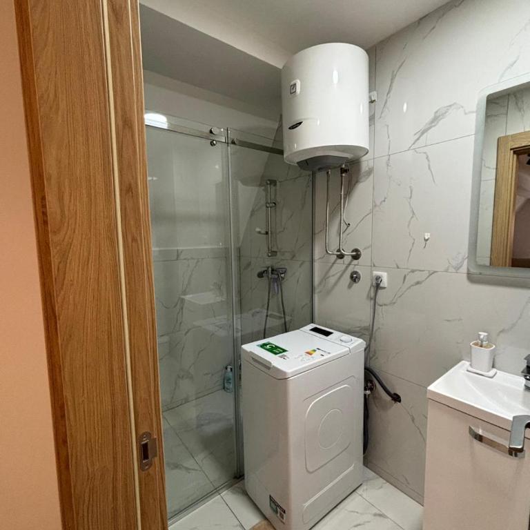 Mali Golubac Star Divcibare - Apartman sa 1 Spavaćom Sobom - 12