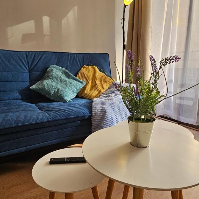 Centro Historico - Metro - Wifi - One-Bedroom Apartment - 12