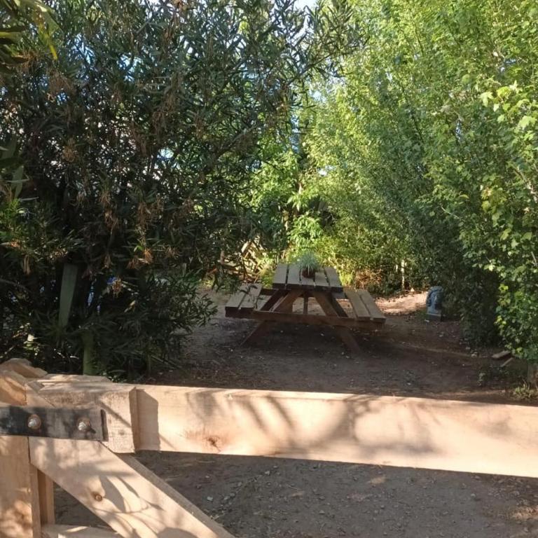 La escondida - Casa con 1 dormitorio - 3