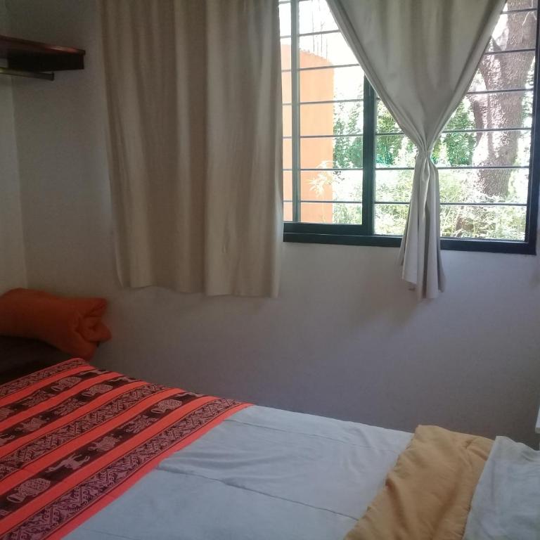 Arcadia - Apartamento de 1 dormitorio - 17