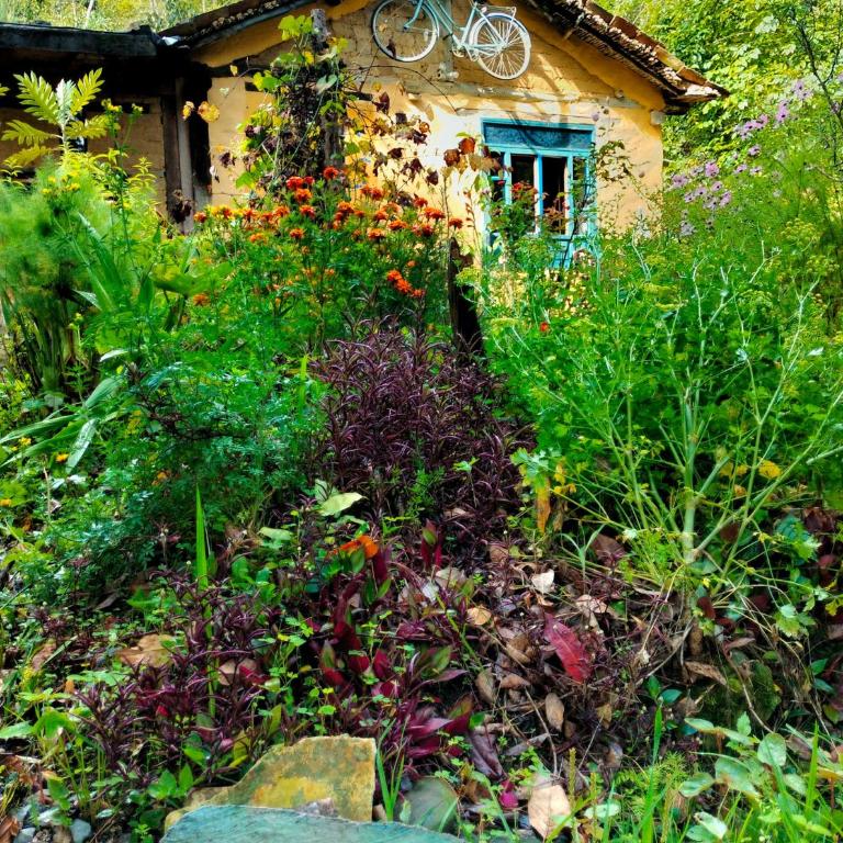 Jacamaki- Eco-lodge & Reserva Natural - Double or Twin Room - 29