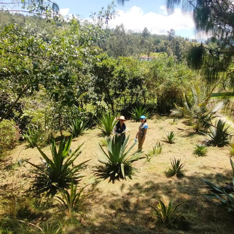 Jacamaki- Eco-lodge & Reserva Natural - Double or Twin Room - 32
