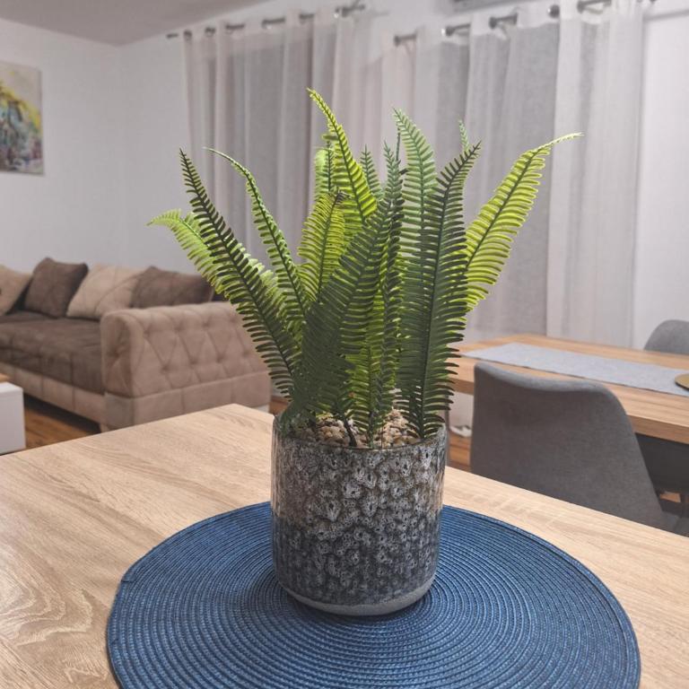 MB Hedonic Apartman - Apartman sa 1 Spavaćom Sobom - 25