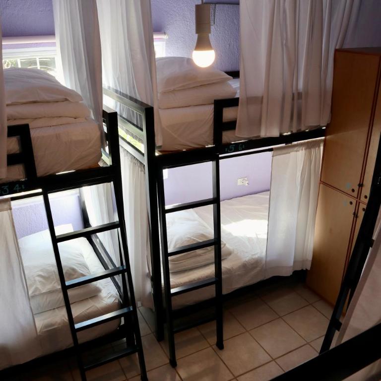 Whale Tales Hostel - Bed in 8-Bed Mixed Dormitory Room - 7