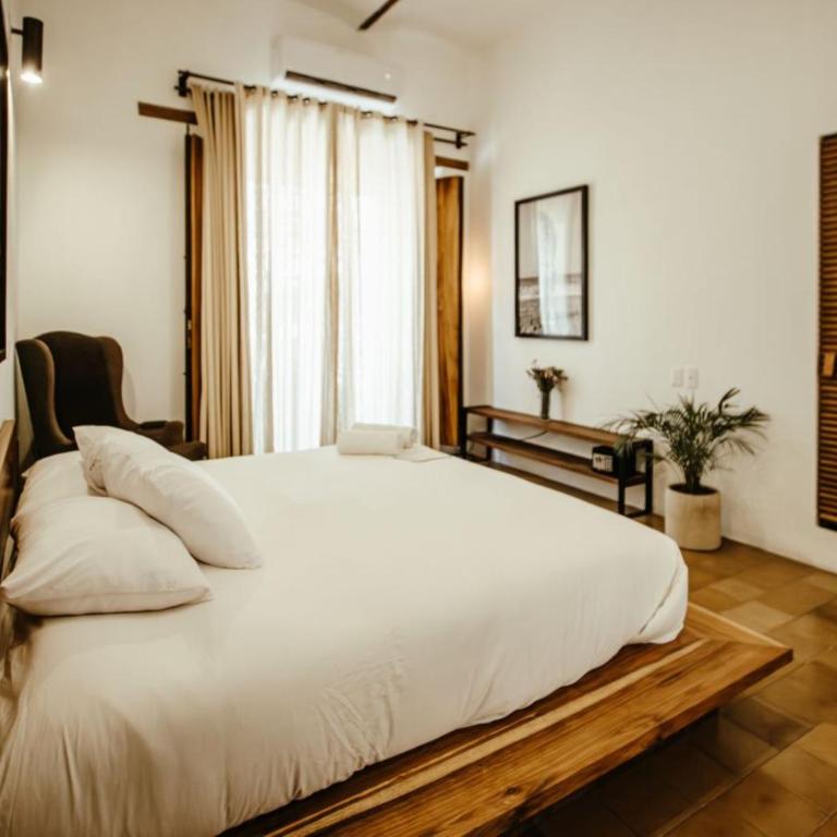 Hotel Sin Nombre - Suite Junior con cama extragrande - 9