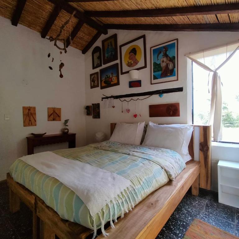 Jacamaki- Eco-lodge & Reserva Natural - Double or Twin Room - 39