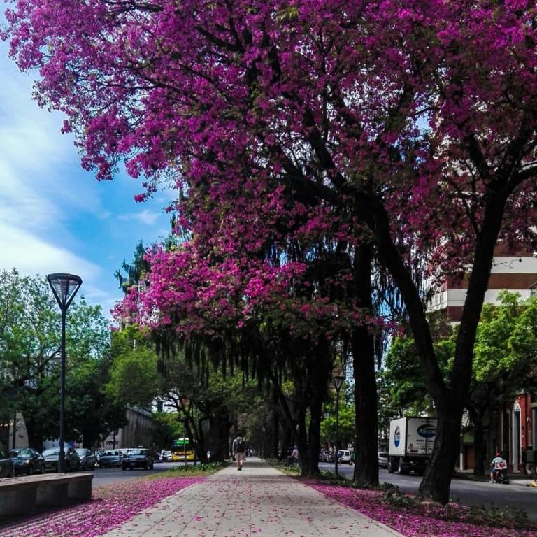 Departamento a Mts Bv Galvez, cerca de todo - Apartamento de 1 dormitorio - 4