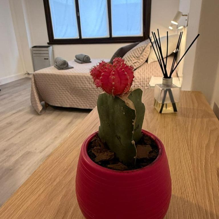 Comfortable apartment Aldrey - Guemes area - Apartamento de 1 dormitorio - 3