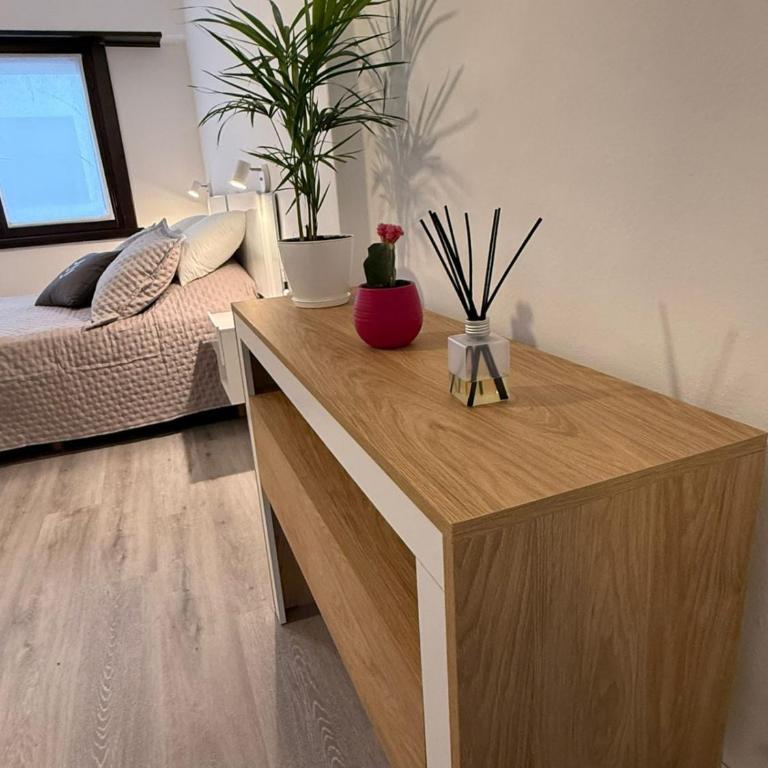 Comfortable apartment Aldrey - Guemes area - Apartamento de 1 dormitorio - 4