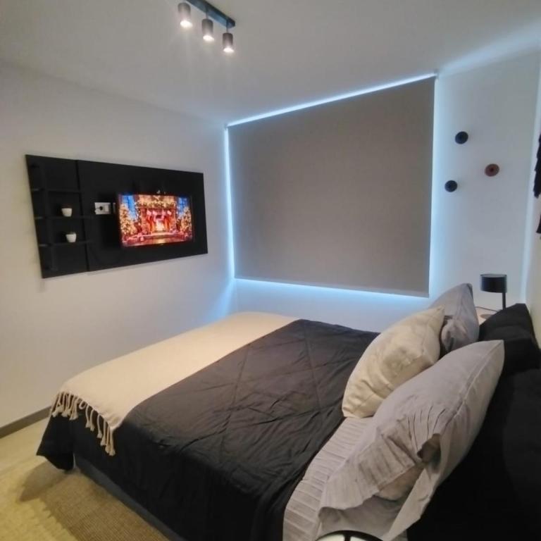 Condo heart of downtown Santiago - One-Bedroom Apartment - 13