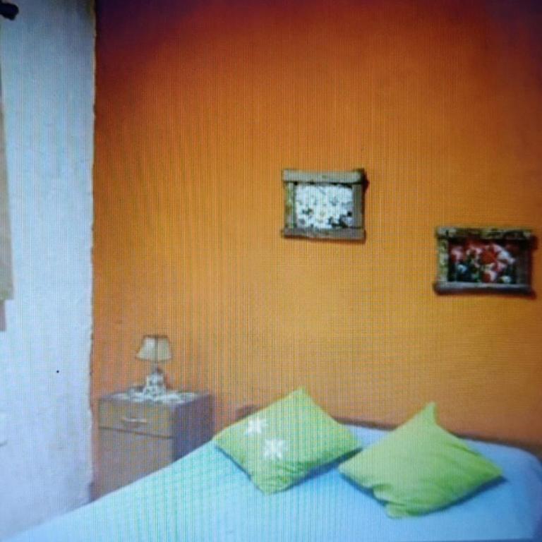 Capibara - Casa con 1 dormitorio - 2