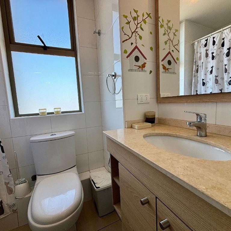 Spectacular View Apartment in Reñaca - Apartment - 12