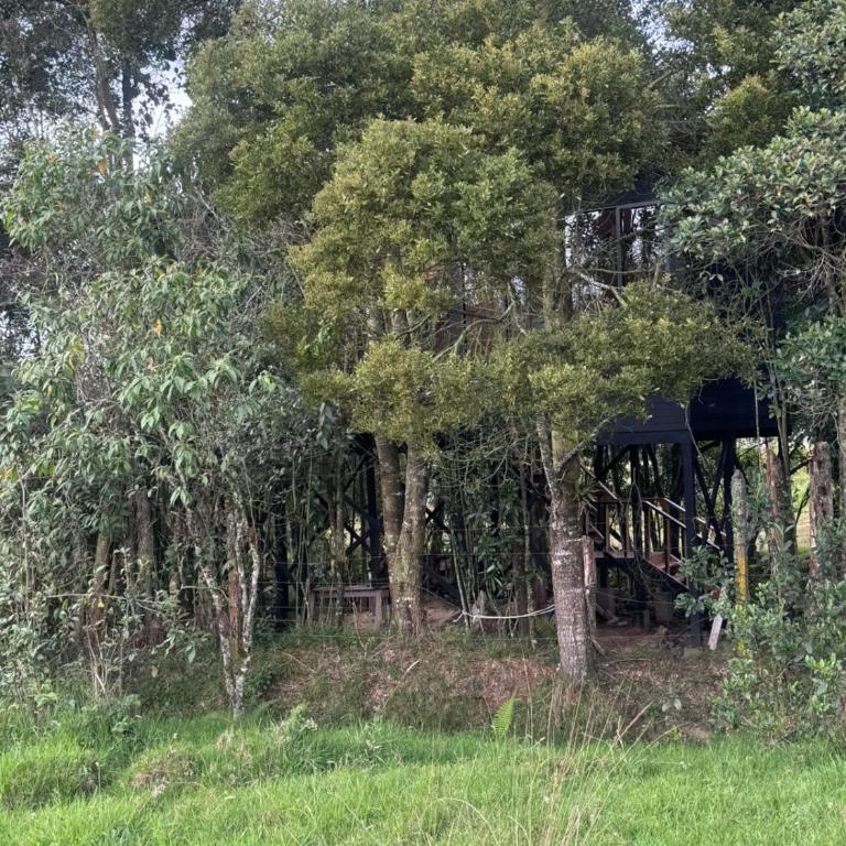 Boheme Cabin - One-Bedroom House - 12