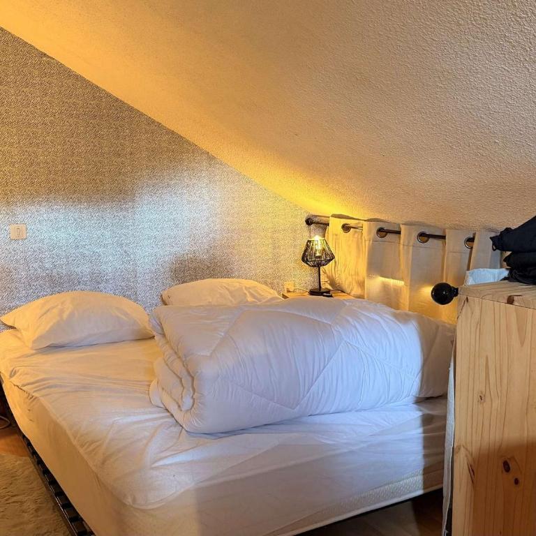 Studio mezzanine ensoleillé, proche pistes, Les Carroz d'Arâches - FR-1-572-346 - Studio - 4
