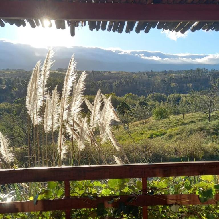 Los Fuegos - Two-Bedroom Chalet - 10