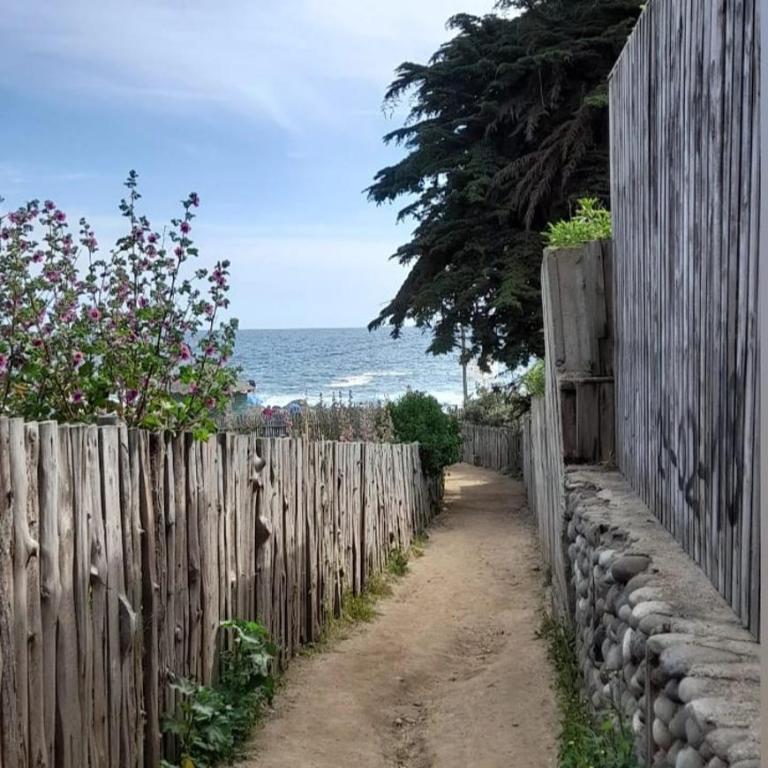 Cabañas La Marina - Casa con 1 dormitorio - 8