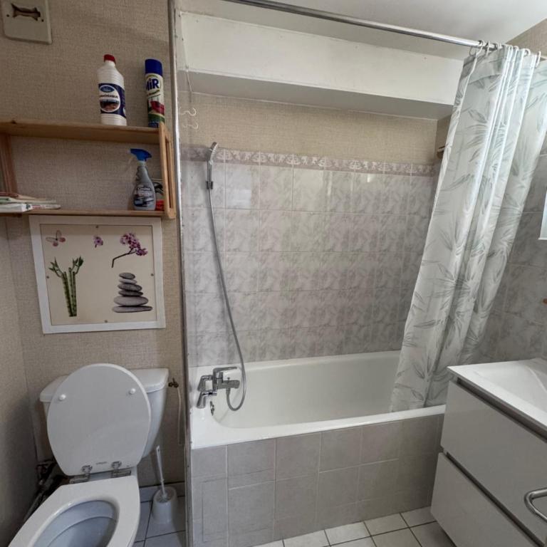 Appartement LE ROC ROUGE aux pieds des pistes - Appartement 1 Chambre - 8