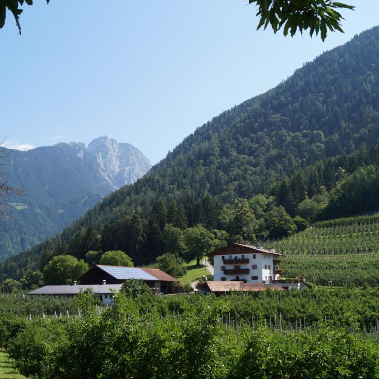 Grumserhof - Appartamento con 1 Camera da Letto - 19