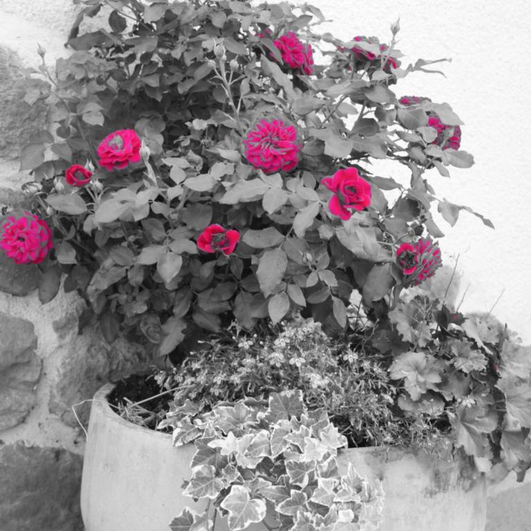 Grumserhof - Appartamento con 1 Camera da Letto - 27
