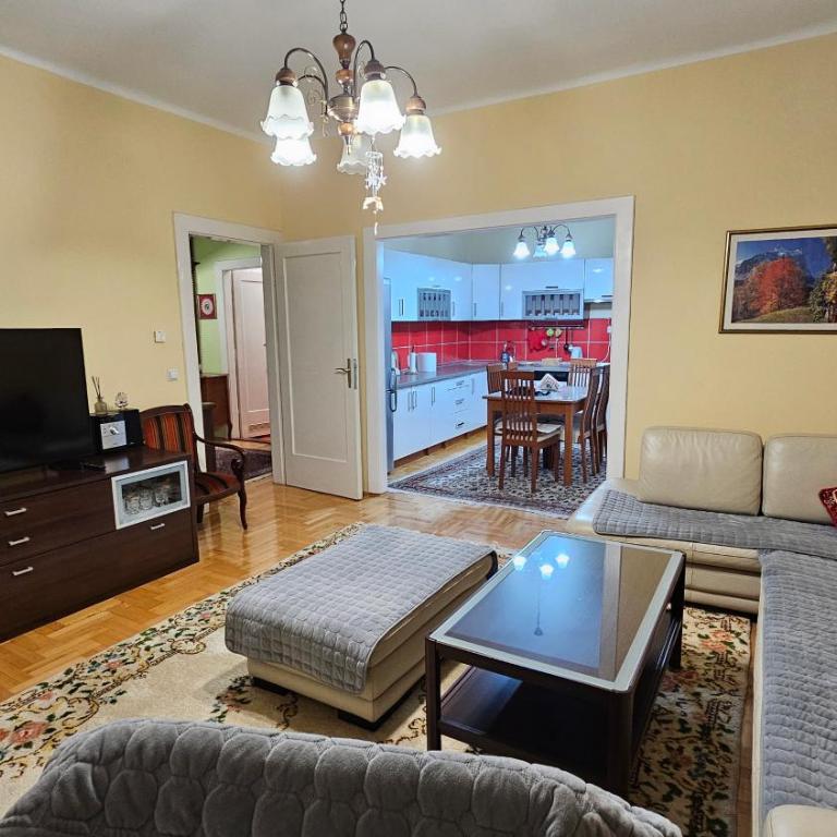 Apartman Sarajevo View & Park - City Center - Apartman sa 1 Spavaćom Sobom - 1