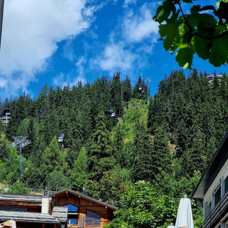 Studio avec terrasse et piscine - Aux Petits Sapins - Appartamento con 1 Camera da Letto e Terrazza - 35