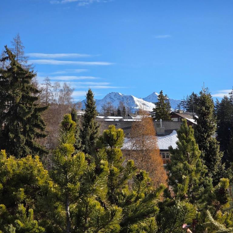 Studio avec terrasse et piscine - Aux Petits Sapins - Appartamento con 1 Camera da Letto e Terrazza - 15