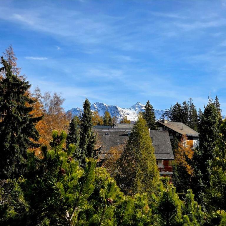 Studio avec terrasse et piscine - Aux Petits Sapins - Appartamento con 1 Camera da Letto e Terrazza - 16