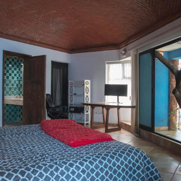 Casa Palomar - One-Bedroom Apartment - 3