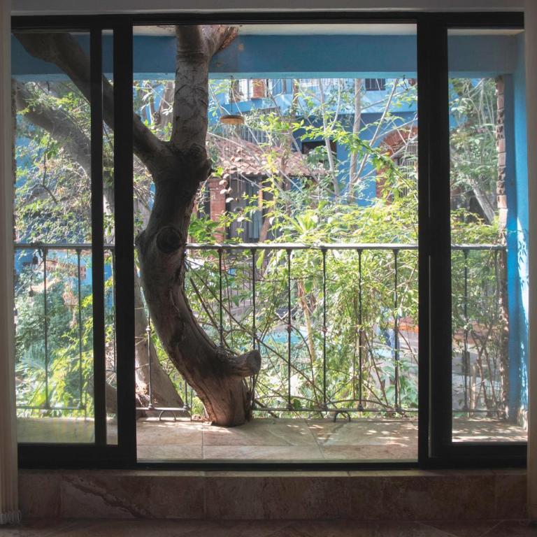 Casa Palomar - One-Bedroom Apartment - 6