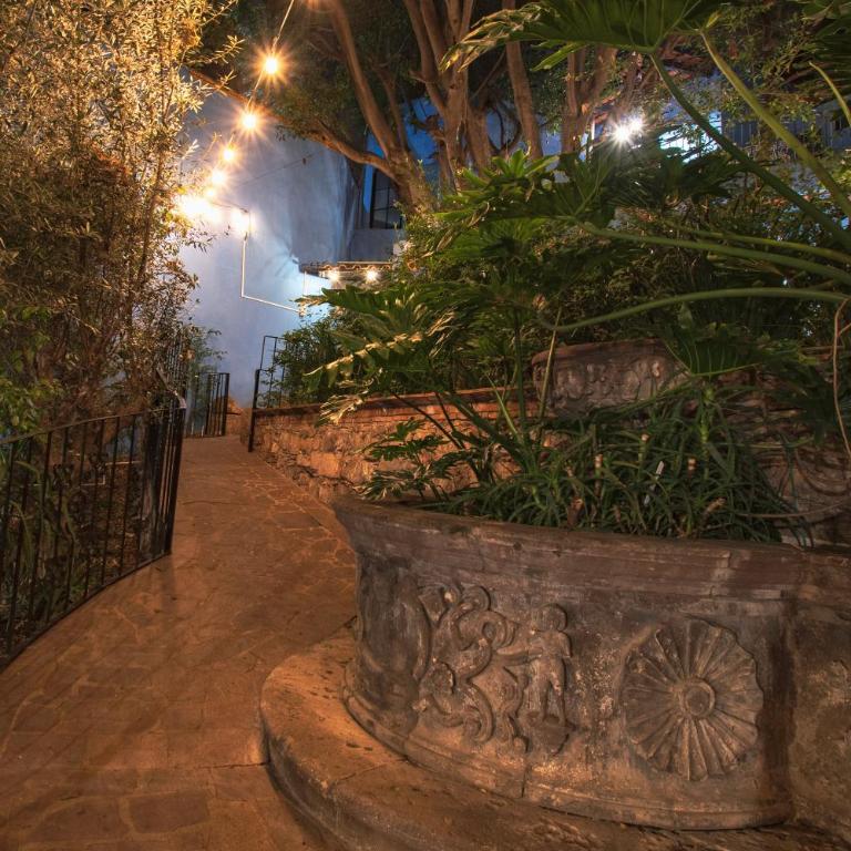 Casa Palomar - One-Bedroom Apartment - 8