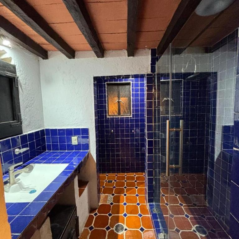 Casa Palomar - One-Bedroom Apartment - 13