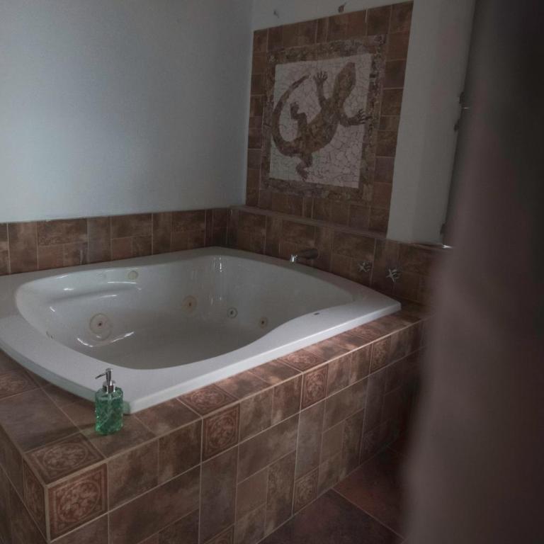 Casa Palomar - One-Bedroom Apartment - 25