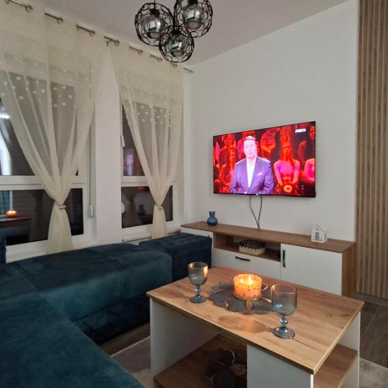 Apartman Miki Divčibare - Apartman sa 1 Spavaćom Sobom - 5