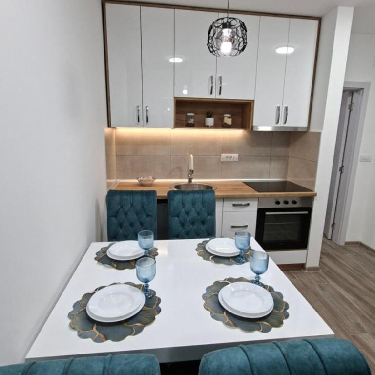 Apartman Miki Divčibare - Apartman sa 1 Spavaćom Sobom - 8