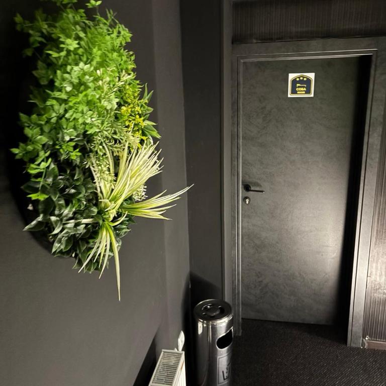 4 Rooms Apartments - Triple Room - 10